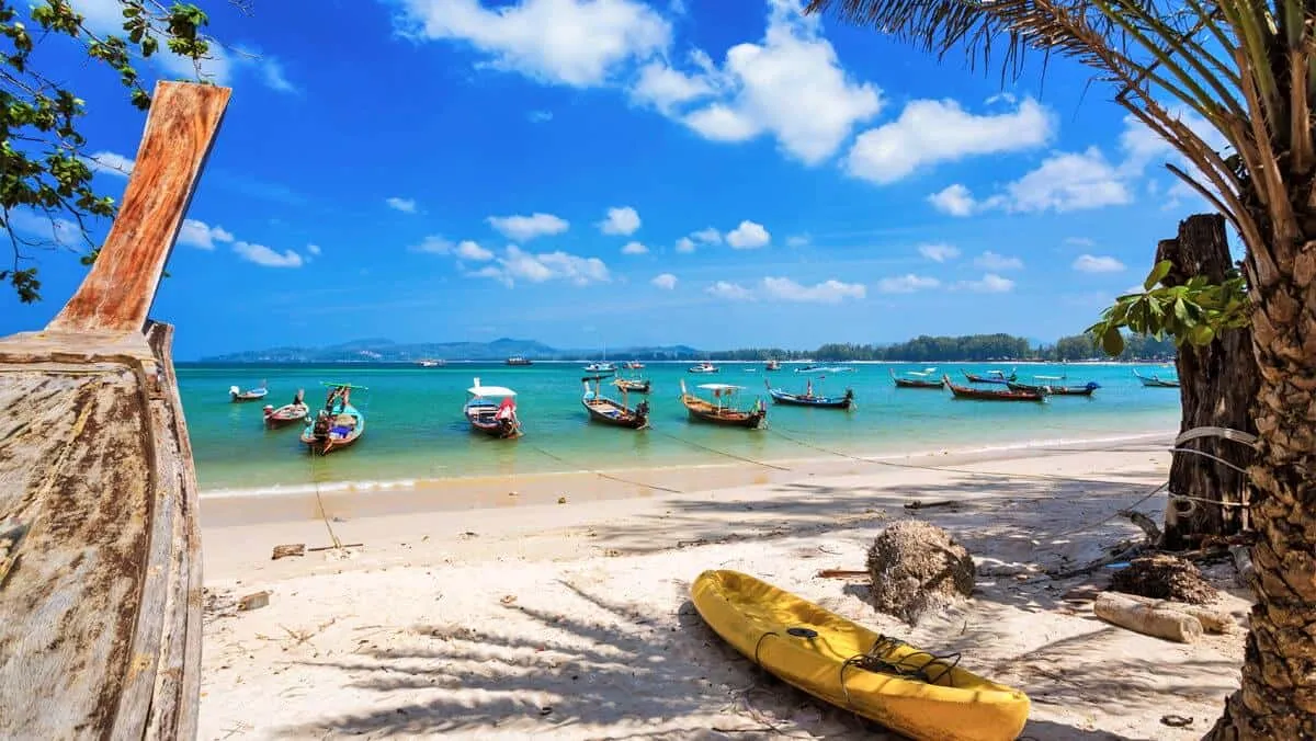 The Momentum District